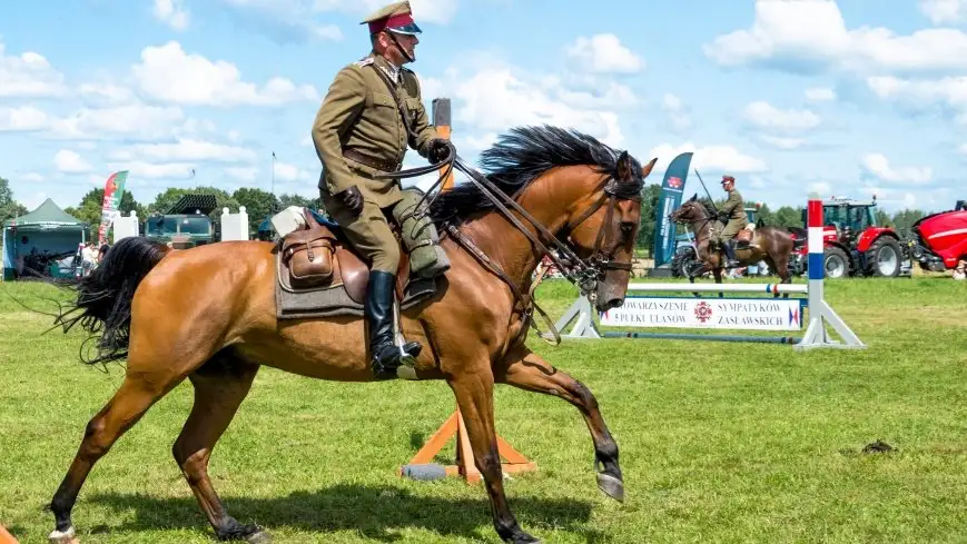 VIII Czempionat Koni Zimnokrwistych odbył się 14 lipca w Stulichach koło Węgorzewa 