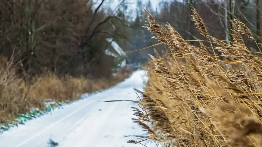 Jak święta obchodzono na Mazurach? Muzeum w Ełku przygotowało wystawę