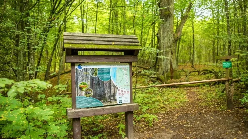 Mazurski Park Narodowy powstanie. Ministerstwo jest zdeterminowane