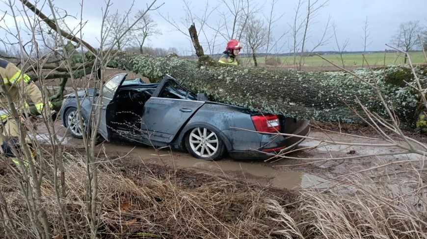 Silny wiatr wyrządza szkody na Warmii i Mazurach. Strażacy notują setki interwencji