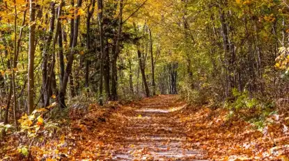 Można będzie skorzystać z 260 obiektów noclegowych w ramach bonu turystycznego