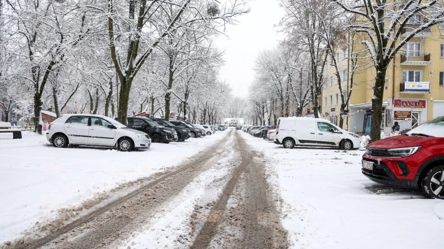 Zdjęcie poglądowe.