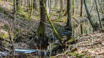 Rzymianie na Mazurach? Niezwykła premiera komiksu o tajemnicach Puszczy Boreckiej
