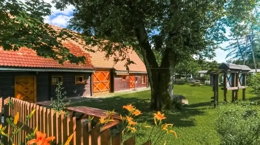 Mazurski Park Krajobrazowy ratuje stare sady. Chcą ocalić wiekowe drzewa