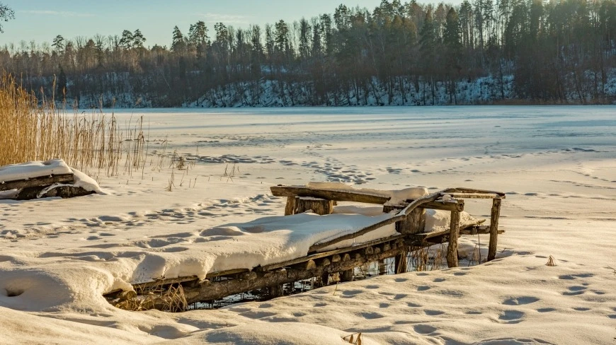 Zdjęcie poglądowe.