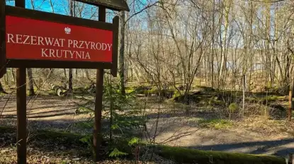 Na ratunek płazom. Wielka akcja ochrony przyrody w rezerwacie „Krutynia Górna”