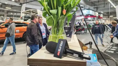 Luani Consulting Katarzyna Mirska - zdjęcie 17