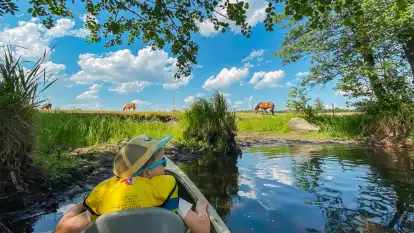 Spływy Kajakowe As-TOUR - zdjęcie 2