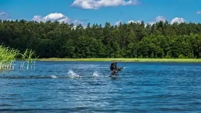 Spływy kajakowe rzeką Sapina - zdjęcie 9