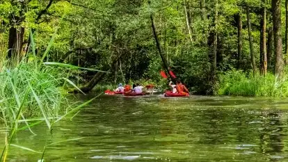 Spływy kajakowe rzeką Sapina - zdjęcie 14
