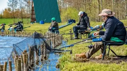 Łowisko Sterławki - zdjęcie 26