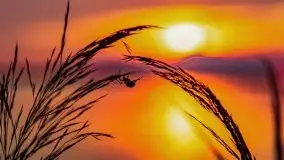 Zachód nad jeziorem Kisajno, sierpień 2021 r. - zdjęcie 24