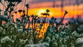 Zachód nad jeziorem Kisajno, sierpień 2021 r. - zdjęcie 5