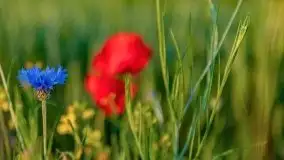 Zachód słońca w okolicach wsi Ublik - zdjęcie 4