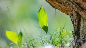 Letni las w okolicach Kruklina, sierpień 2021 r. - zdjęcie 34