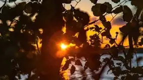 Zachód słońca nad jeziorem Kirsajty, wrzesień 2021 r. - zdjęcie 22