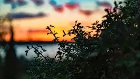 Zachód słońca nad jeziorem Kirsajty, wrzesień 2021 r. - zdjęcie 27