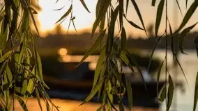 Zachód słońca nad jeziorem Bocznym, Tło Dla Mew, wrzesień 2021 - zdjęcie 13