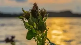 Wrześniowe jezioro Ublik o zachodzie słońca - zdjęcie 21