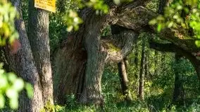 Zachód słońca nad jeziorem Dobskim, wrzesień 2021 r. - zdjęcie 26