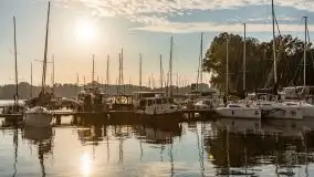 Port Sztynort na początku października 2021 r. - zdjęcie 35