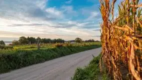 Zachód słońca w Pierkunowie, wrzesień 2021 r. - zdjęcie 4