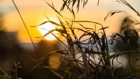 Zachód słońca w Pierkunowie, wrzesień 2021 r. - zdjęcie 7