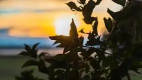 Zachód słońca w Pierkunowie, wrzesień 2021 r. - zdjęcie 19