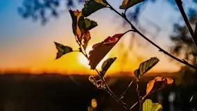 Zachód słońca, Giżycko, jezioro Niegocin, październik 2021 r. - zdjęcie 8