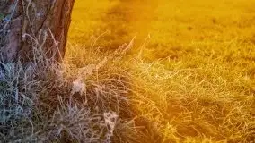 Październikowy wschód słońca, mgły i szron - zdjęcie 49