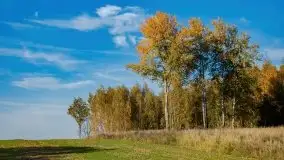 Początki mazurskiej złotej jesieni, październik 2021 r. - zdjęcie 13