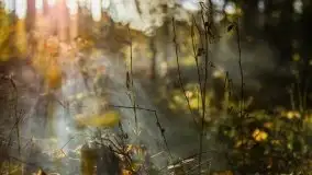 Początki mazurskiej złotej jesieni, październik 2021 r. - zdjęcie 30