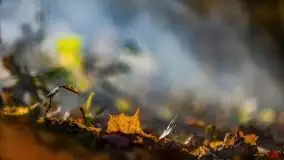 Początki mazurskiej złotej jesieni, październik 2021 r. - zdjęcie 20