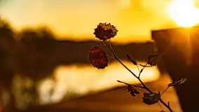 Zachód słońca nad jeziorem Krzywa Kuta - zdjęcie 14