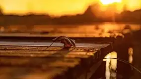 Zachód słońca nad jeziorem Krzywa Kuta - zdjęcie 25