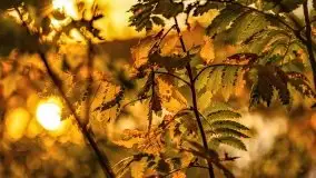 Zachód słońca nad jeziorem Krzywa Kuta - zdjęcie 11