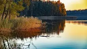 Zachód słońca nad jeziorem Krzywa Kuta - zdjęcie 10