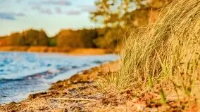 Jesienny Dargin pełen urokliwych kolorów - zdjęcie 30