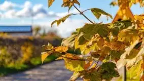 Mazurska złota jesień w Giżycku i okolicach - zdjęcie 8