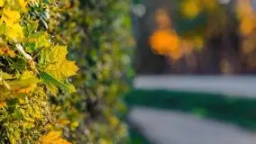 Mazurska złota jesień w Giżycku i okolicach - zdjęcie 36