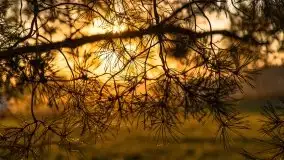 Zachód słońca nad jeziorem Kruklin, październik 2021 - zdjęcie 4