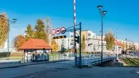 Kanał Łuczański w barwach jesieni, październik 2021 r. - zdjęcie 10