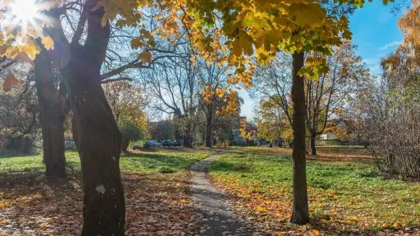 Kanał Łuczański w barwach jesieni, październik 2021 r. - zdjęcie 11