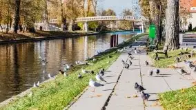 Kanał Łuczański w barwach jesieni, październik 2021 r. - zdjęcie 23