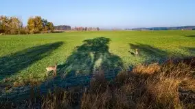 Wschód słońca nad jeziorem Kruklin, październik 2021 r. - zdjęcie 2