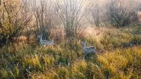 Wschód słońca nad jeziorem Kruklin, październik 2021 r. - zdjęcie 4