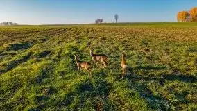 Wschód słońca nad jeziorem Kruklin, październik 2021 r. - zdjęcie 23