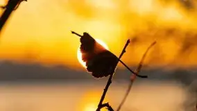 Wschód słońca nad jeziorem Kruklin, październik 2021 r. - zdjęcie 56