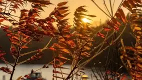 Zachód słońca i jesienne Ruciane Park  - zdjęcie 5