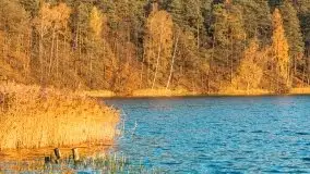 Zachód słońca i jesienne Ruciane Park  - zdjęcie 18